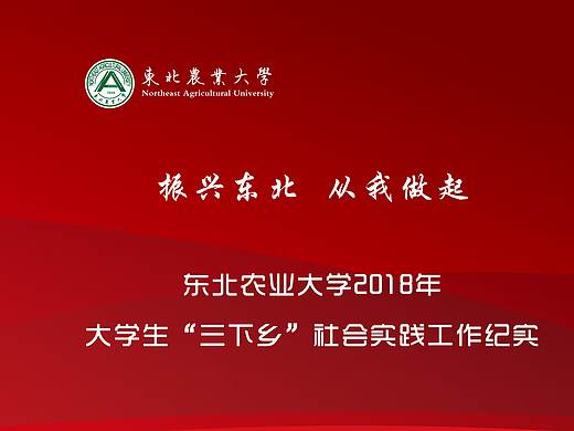 哈尔滨农业大学画册设计