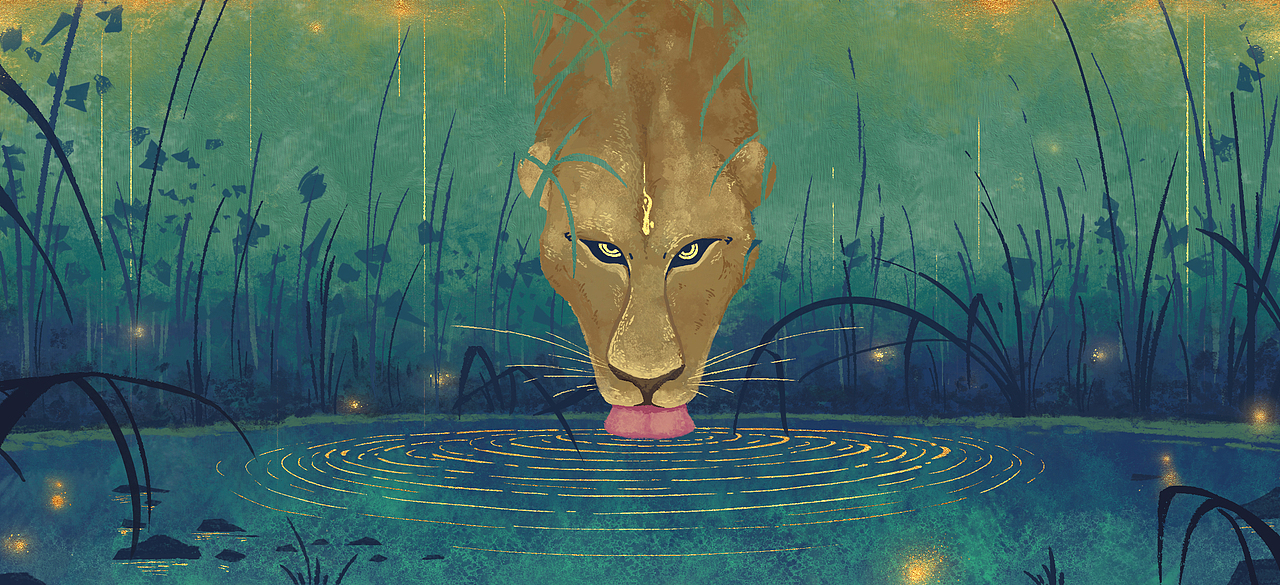 【猪护法的插画小结】