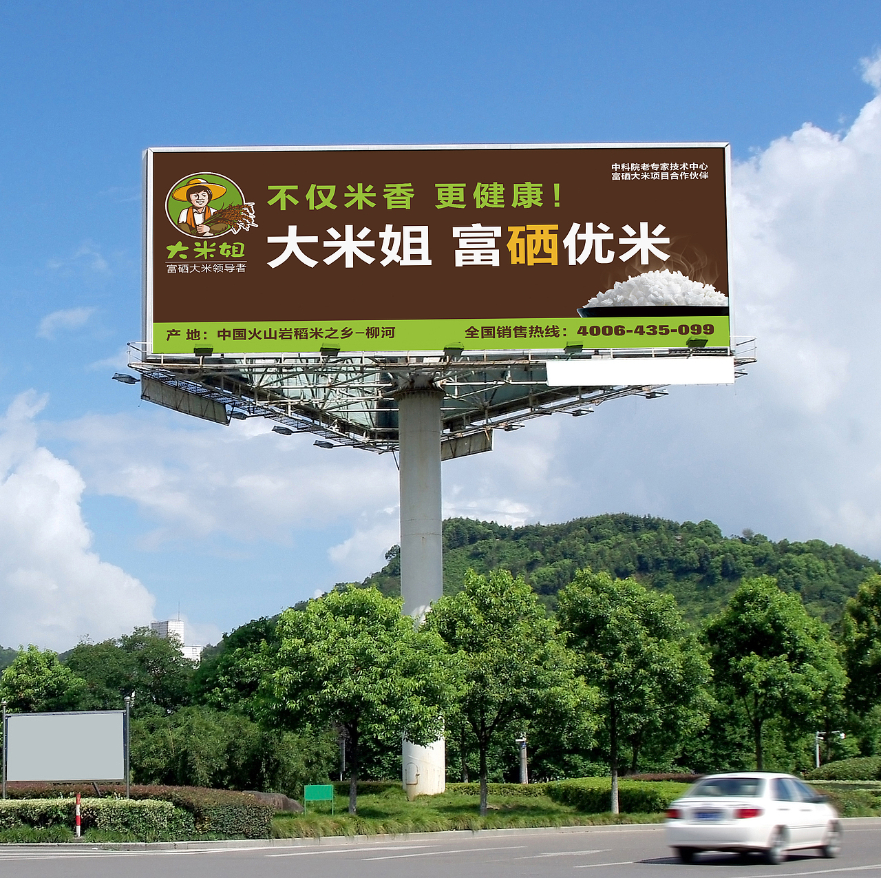 大米画册,户外广告,折页,会员卡,简洁大气,高档