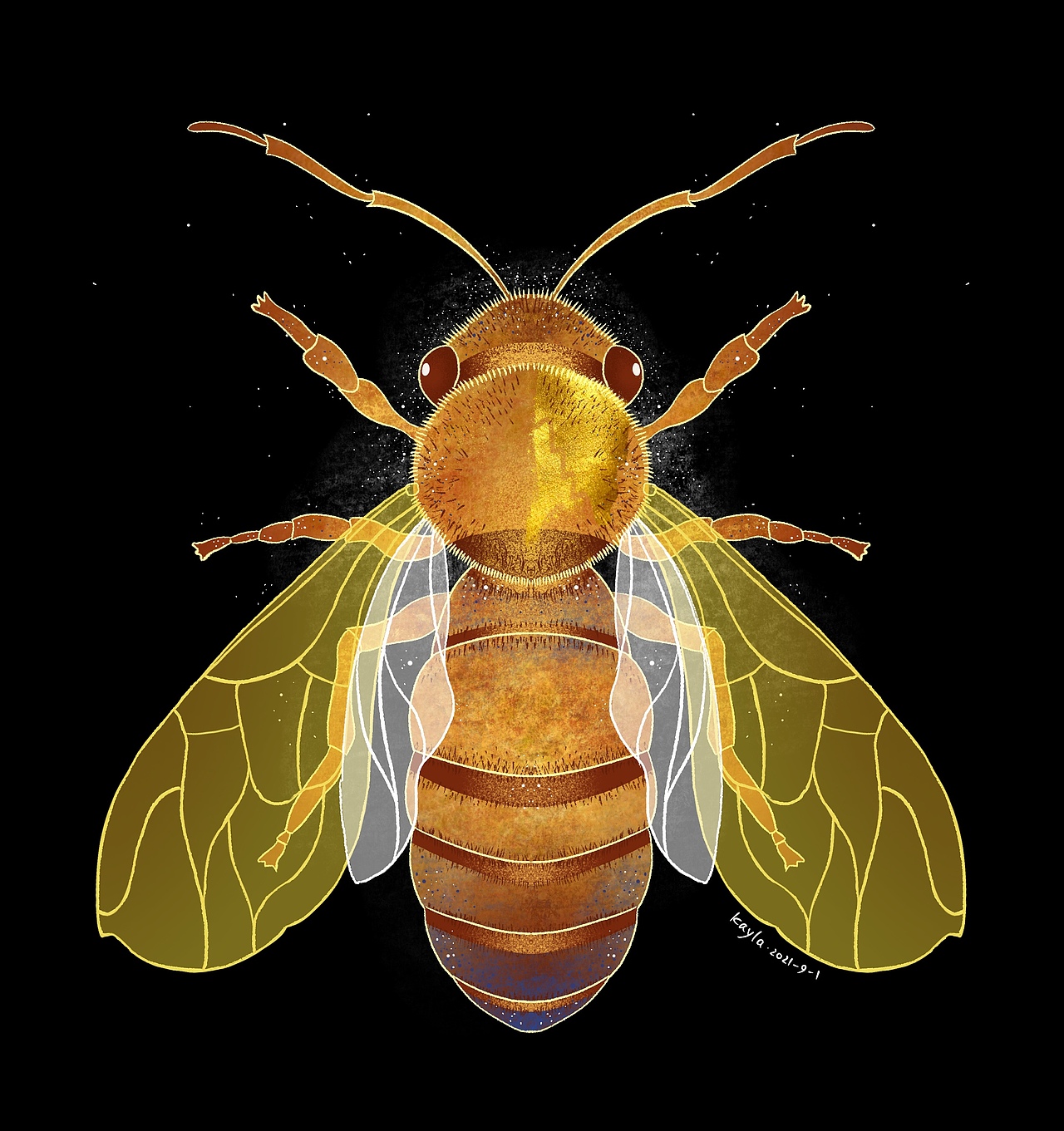 Procreate绘画练习