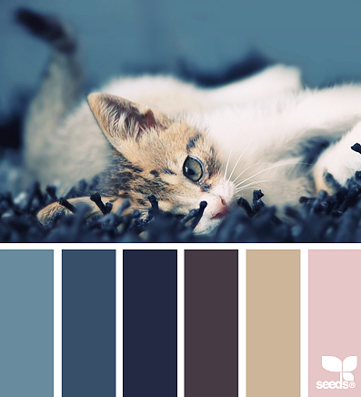 美丽的配色卡啊——04