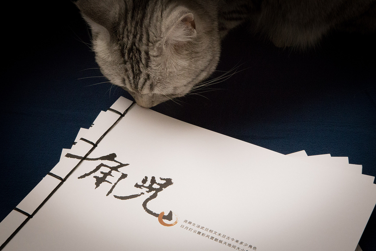 【角儿】尧舜生汤武旦桓文未旦古今来多少角色 日月灯云霞彩风雷鼓板天地间大小舞台（图ZNjg2OTk4ODA=） - 书籍/画册 - 站酷设计师DeJay王健原创素材 - 站酷ZCOOL