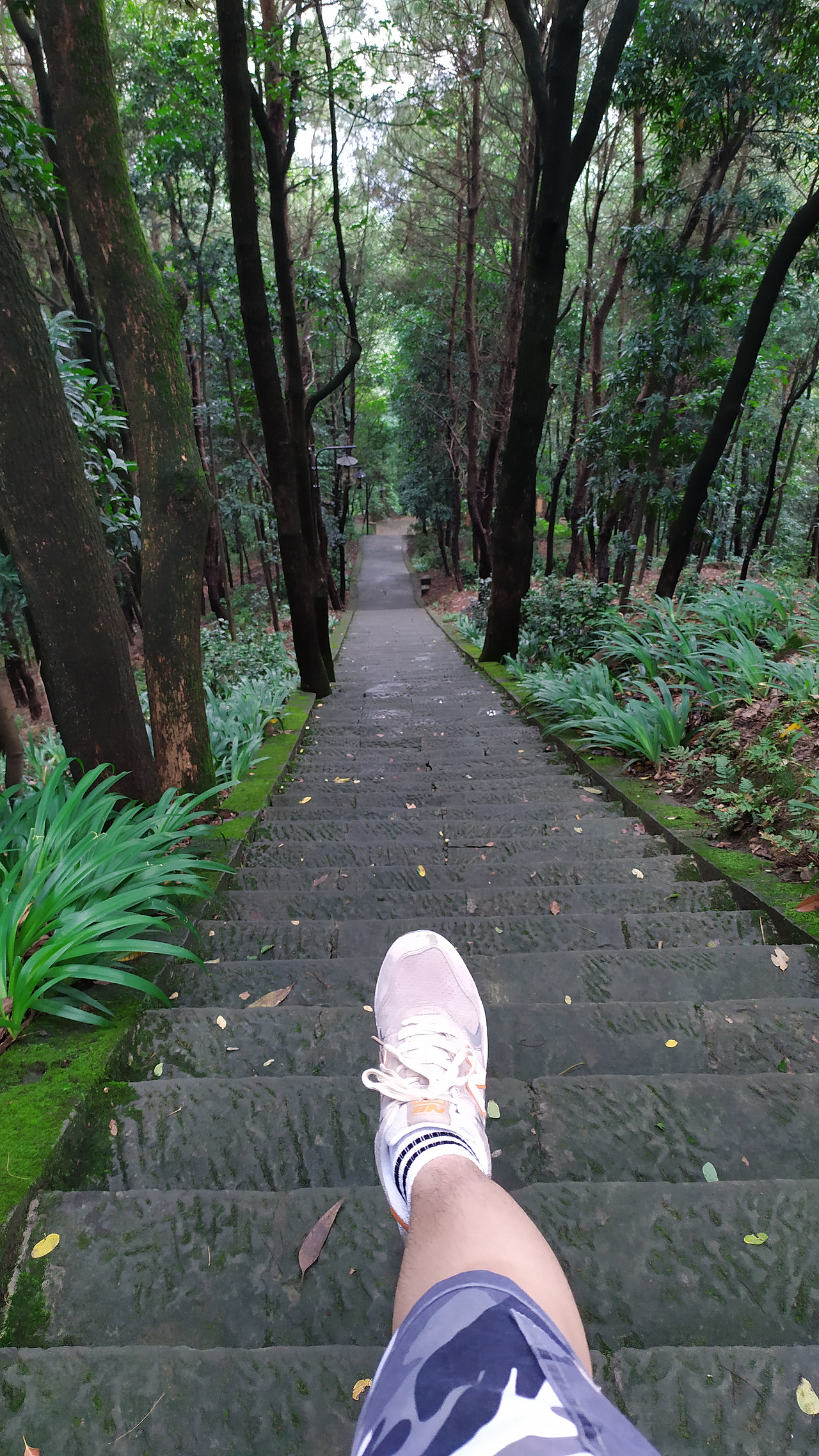山城爬山记录