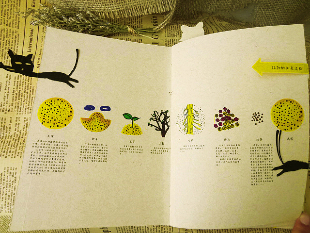 《一只猫的秘密》概念书（图ZMzcxNzQ4NDQ=） - 书籍/画册 - 站酷设计师柚子茶WXY原创素材 - 站酷ZCOOL