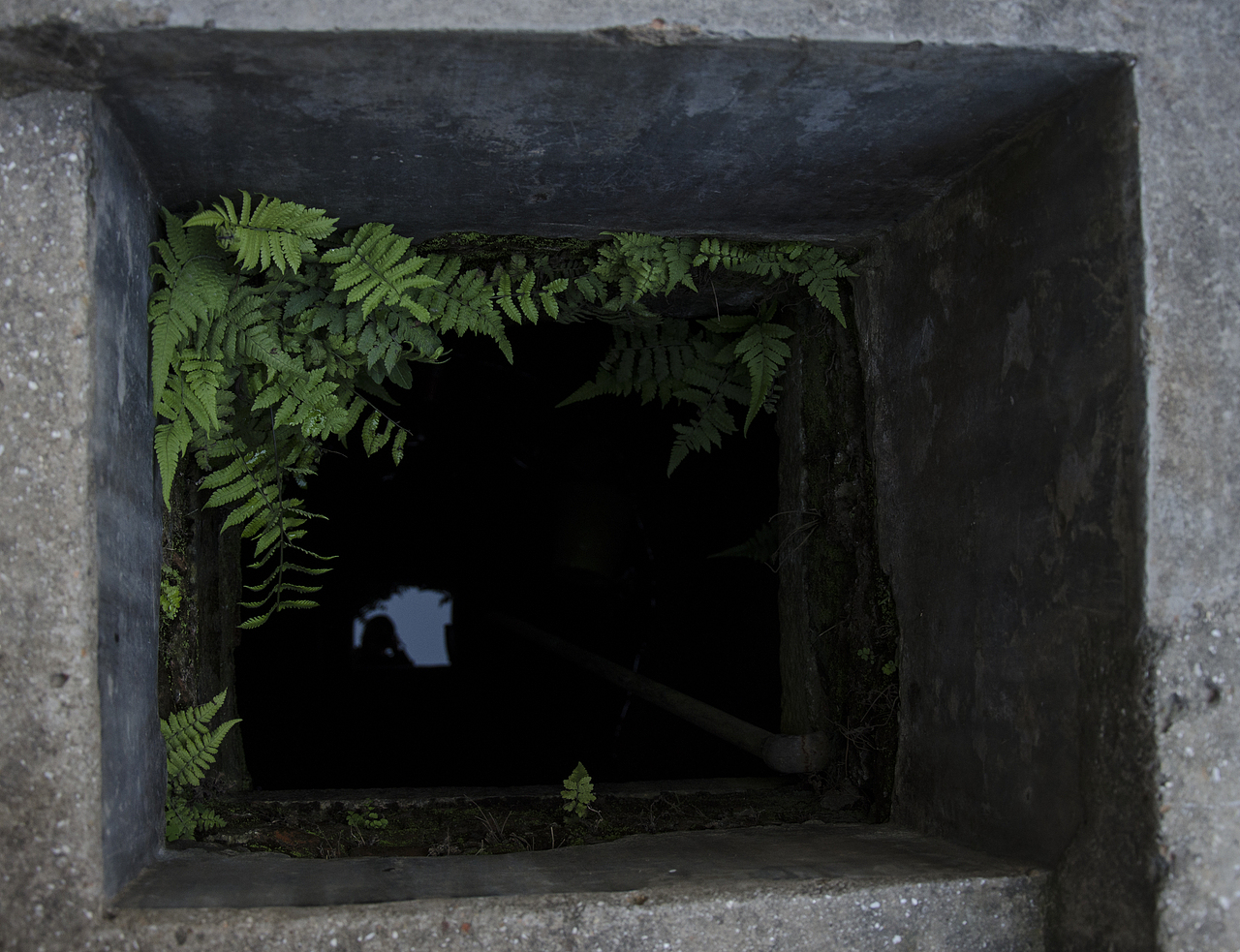 老窗（图ZMTA5MDU4MTYw） - 环境/建筑摄影 - 站酷设计师九鲛原创素材 - 站酷ZCOOL