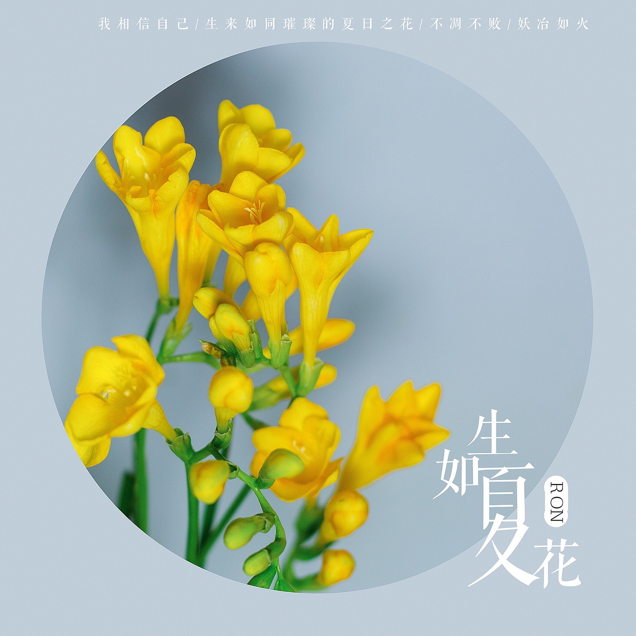 香雪兰（图ZNzIyOTcyNzY=） - 产品摄影 - 站酷设计师榮羽生RON原创素材 - 站酷ZCOOL