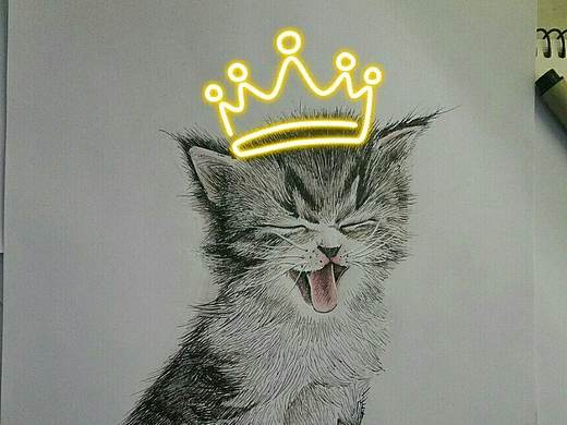 針管筆-貓（個(gè)人主頁(yè)-ZMzMxNDM3ODQ=） - 繪畫 - 站酷設(shè)計(jì)師路興盛原創(chuàng)素材 - 站酷ZCOOL