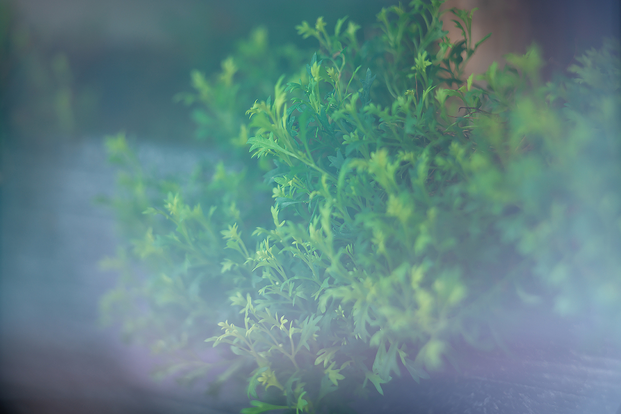 《要有光》（图ZMzA5OTYyNTg0） - 风光摄影 - 站酷设计师Alex1205原创素材 - 站酷ZCOOL