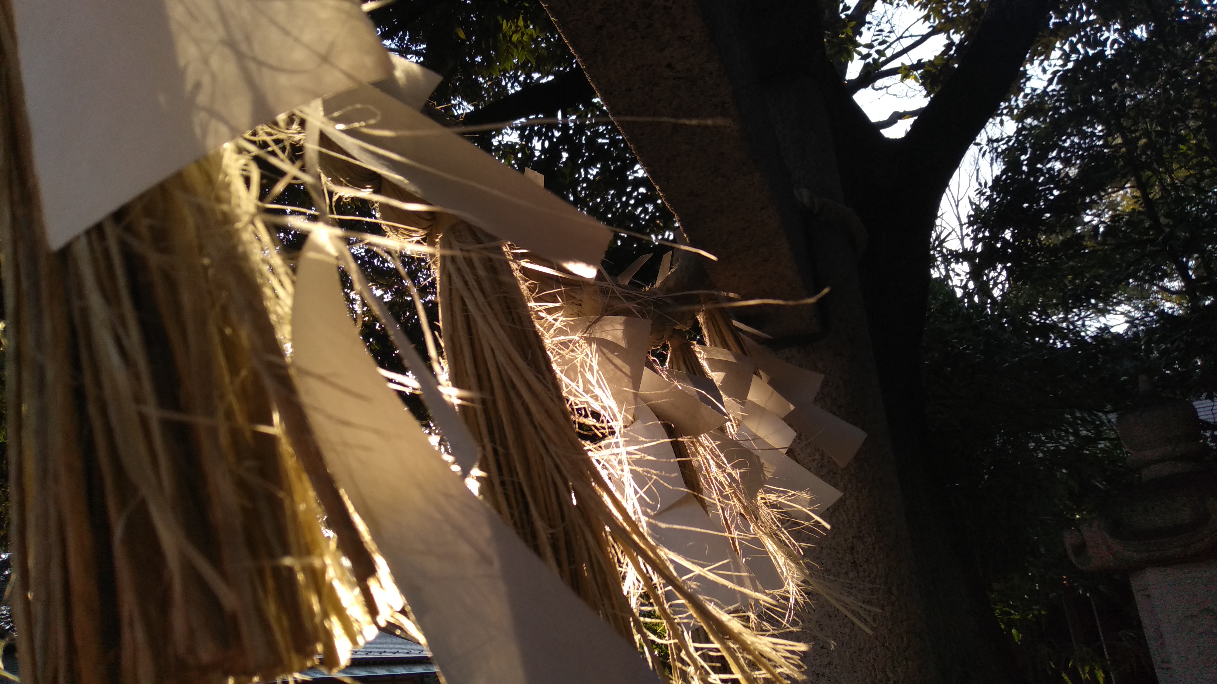 任和瑞的个人主页（封面预览） - 主页封面设置 - 站酷设计师任和瑞原创素材 - 站酷ZCOOL