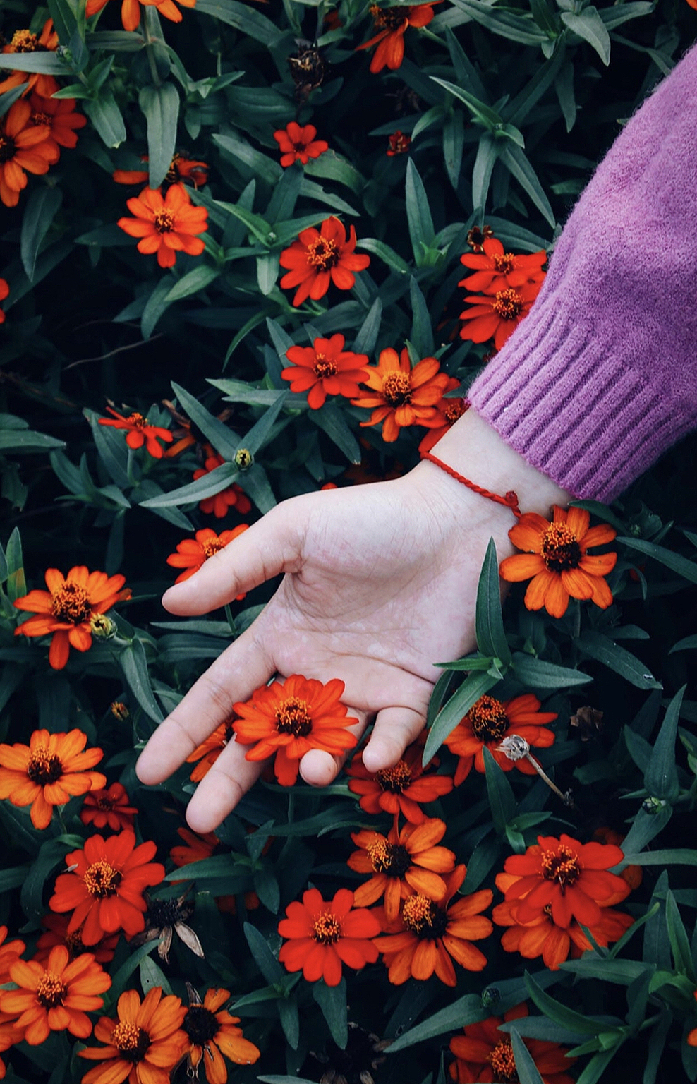 「 彩 色 记 忆 」