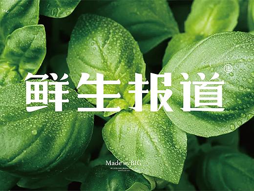 鲜生报道 | 品牌设计