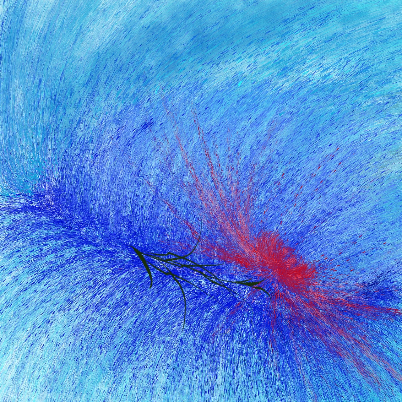 陷入一朵花的疯狂