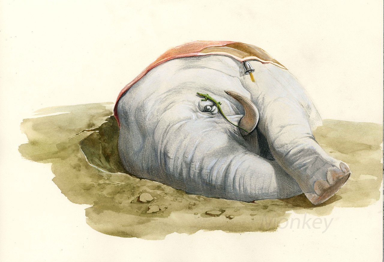 手绘插图《沈石溪动物故事》（图ZMjcyODUxNzc2） - 绘本 - 站酷设计师王俊宇Monkey原创素材 - 站酷ZCOOL