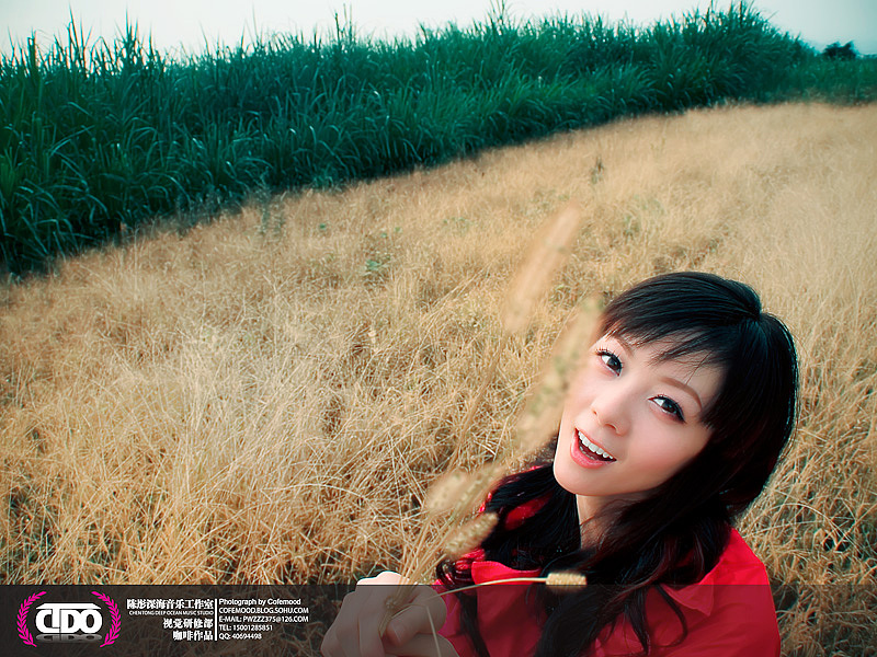 东南卫视主持人谢霜