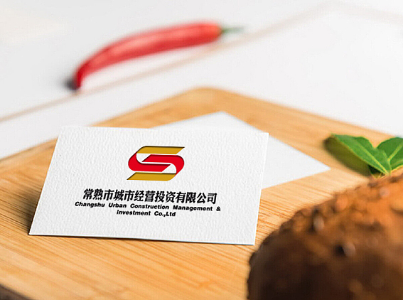 常熟城投logo部分VI（图ZMTc3NTE4NjEy） - 品牌 - 站酷设计师刘月春原创素材 - 站酷ZCOOL