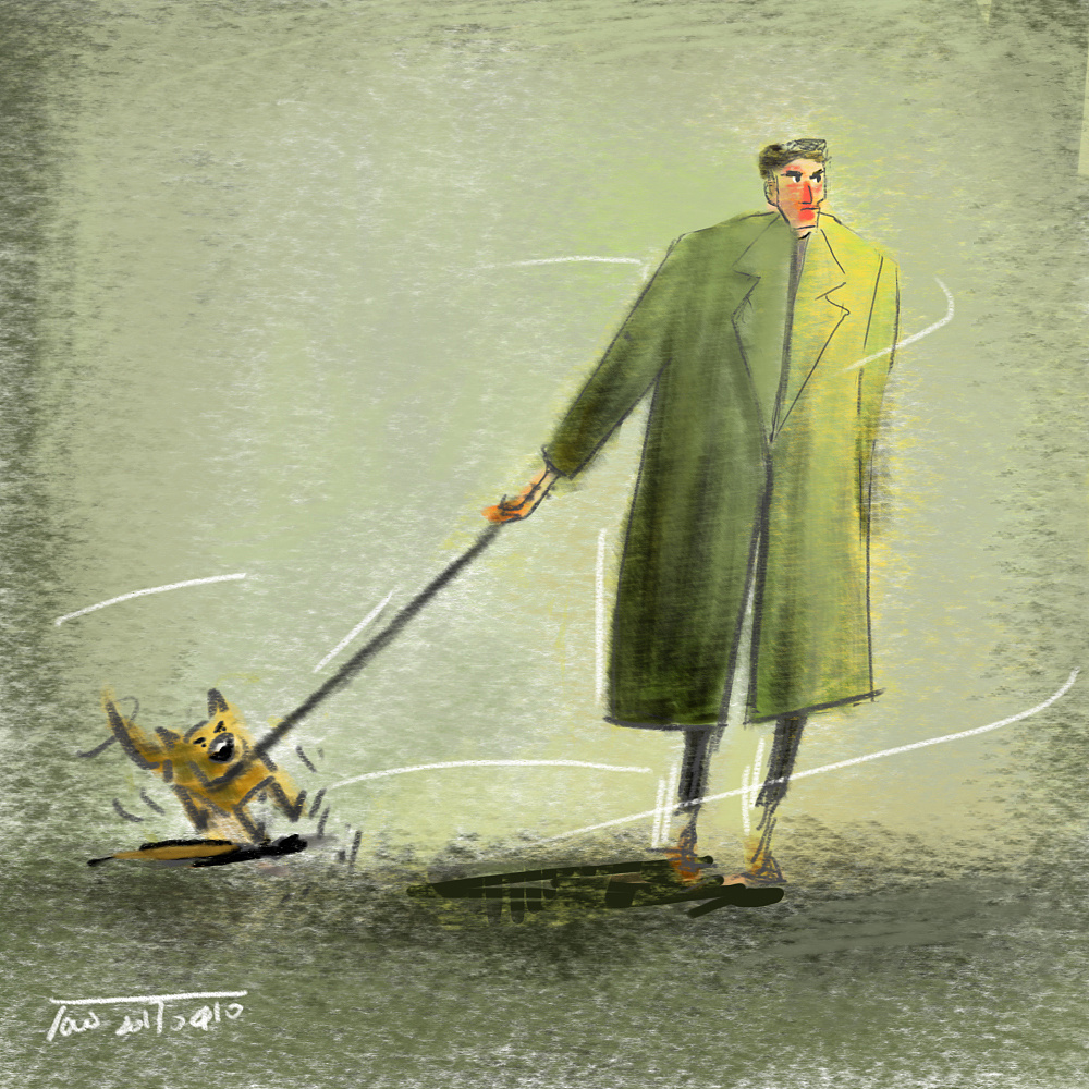 发现很多狗狗和主人拧着走