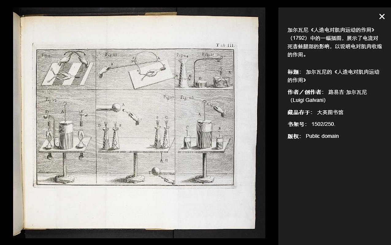 大英圖書館 「人造電對肌肉運動的作用」（图ZMTE4MDIwNTc2） - 艺术插画 - 站酷设计师margaretlor原创素材 - 站酷ZCOOL