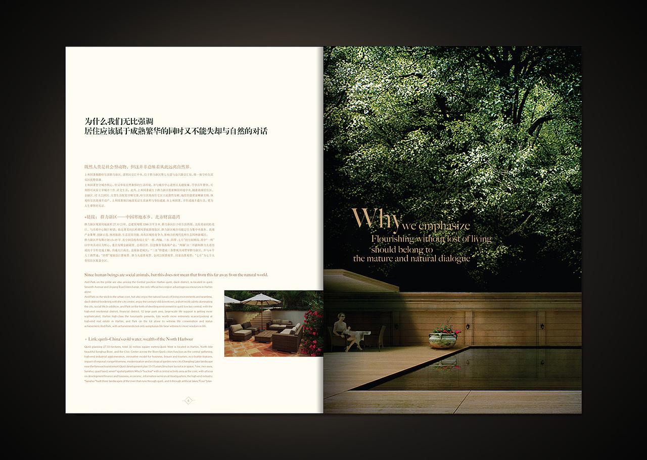 上和园著 | 画册