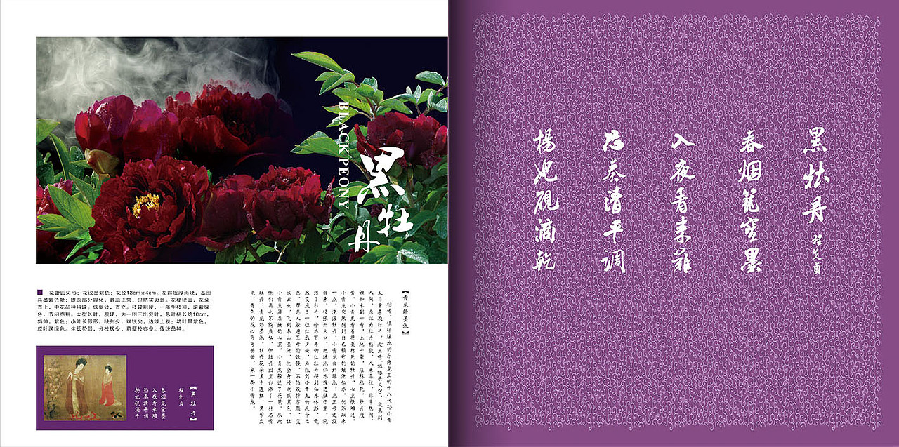 画册设计 洛阳旅游文化2--無设计 栖鹏（图ZMjE3NzU1ODA=） - 书籍/画册 - 站酷设计师栖鹏原创素材 - 站酷ZCOOL