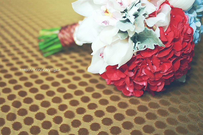 婚礼摄影师bobo 裕龙国际酒店