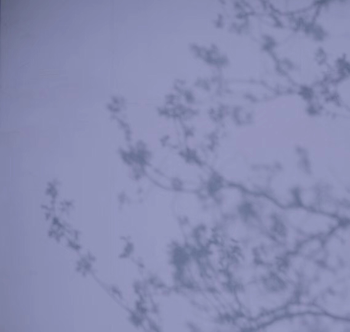再也没有留恋的夕阳（图ZMjA0Nzk1MDU2） - 人文/纪实摄影 - 站酷设计师拾柒是半仙儿原创素材 - 站酷ZCOOL