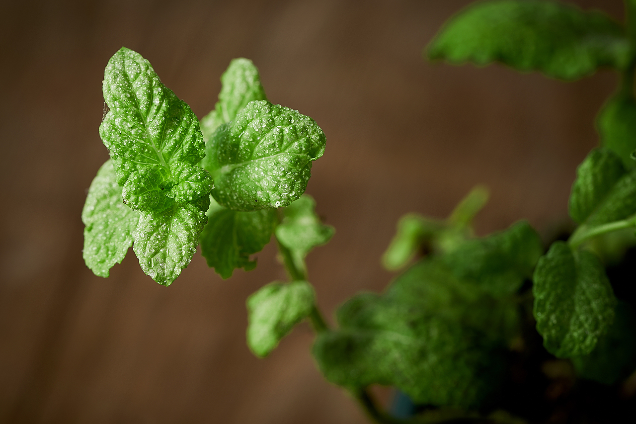 蛋挞（图ZMjUxMzUxNjM2） - 美食摄影 - 站酷设计师摄影师肖龙原创素材 - 站酷ZCOOL