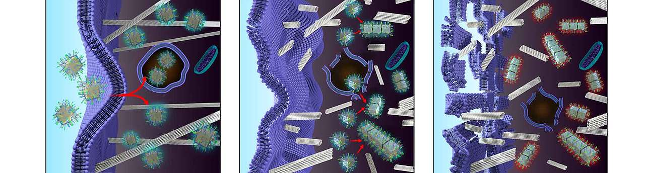 科研素材（图ZMjc2MDQwODA0） - 其他三维 - 站酷设计师koko491原创素材 - 站酷ZCOOL
