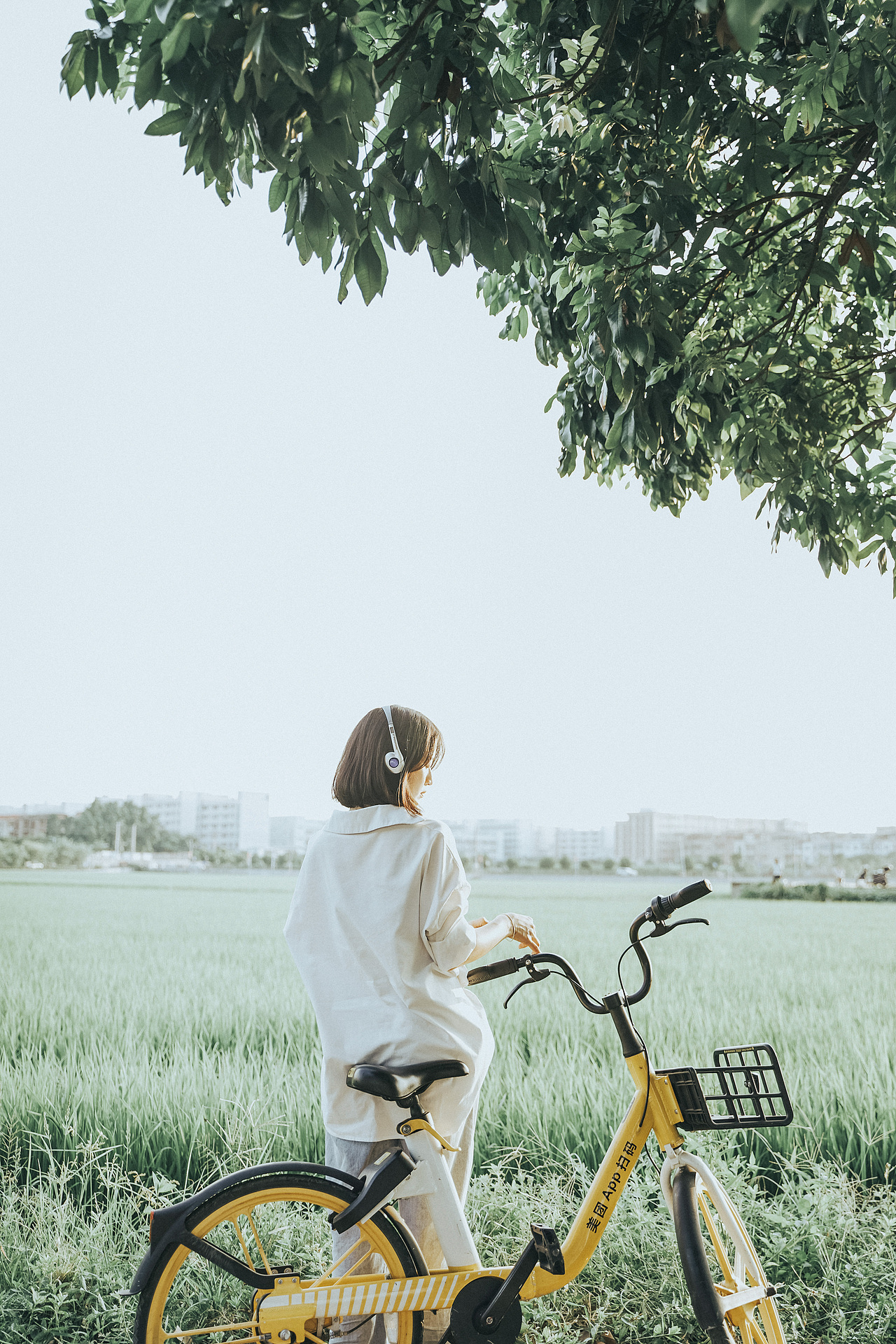 林婉的稻田日记