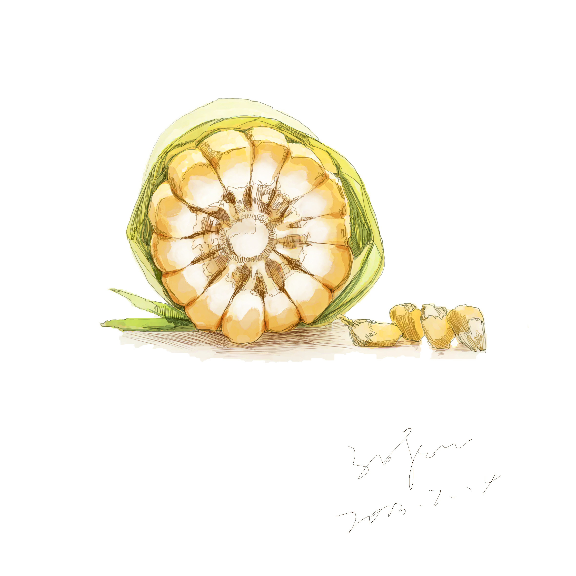 鸩山原创手绘水果蔬菜