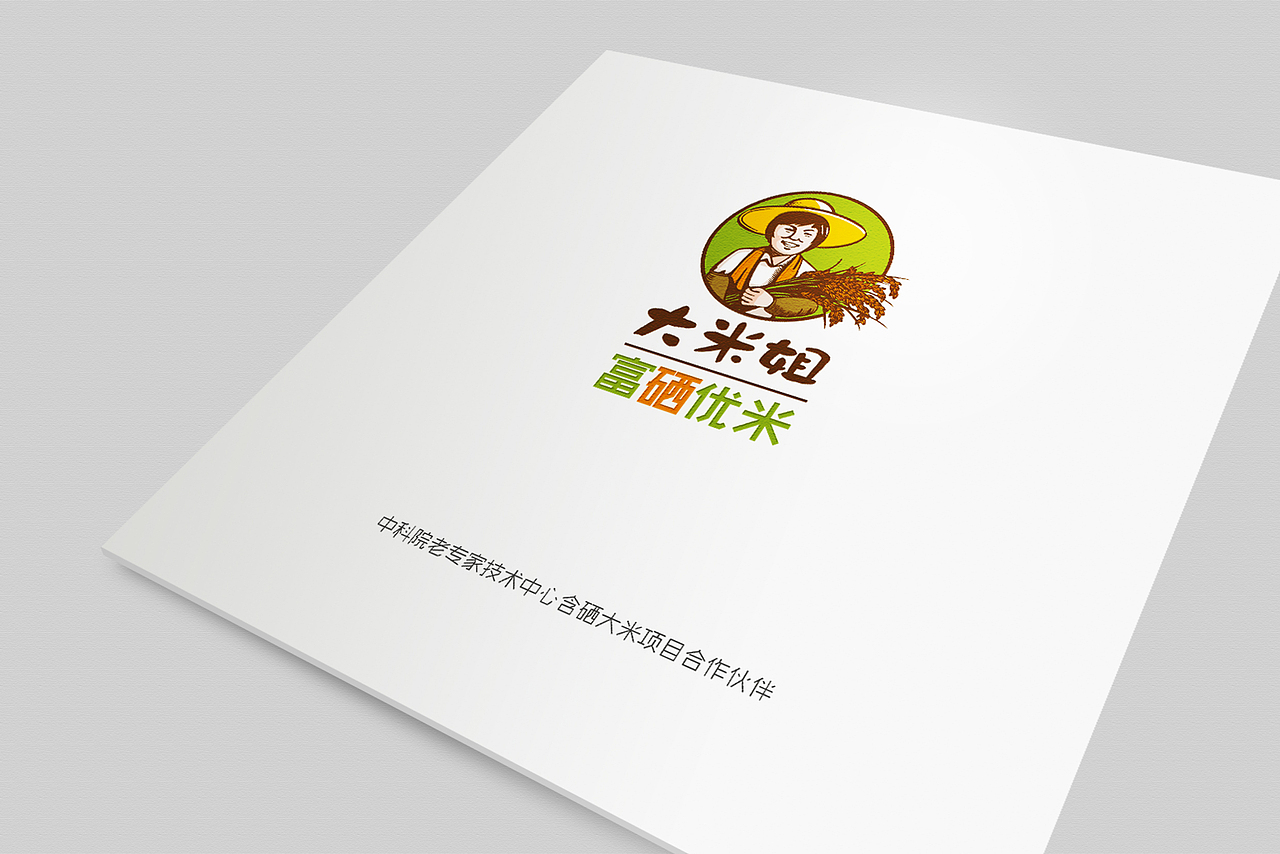 大米画册,户外广告,折页,会员卡,简洁大气,高档
