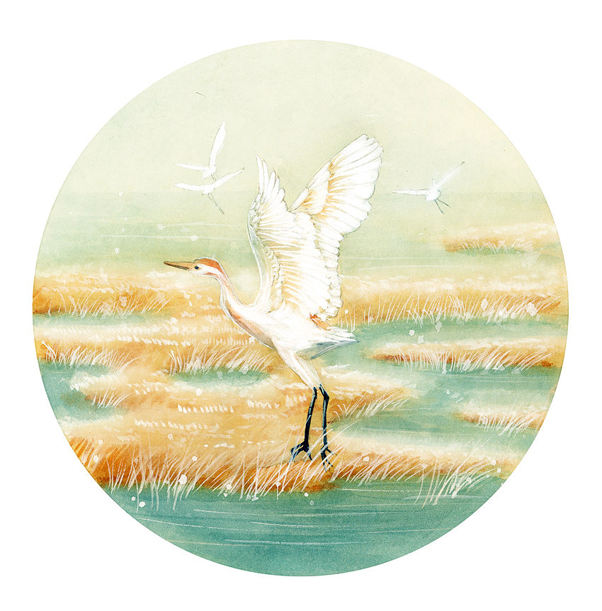 2019年终插画总结（图ZMTkxNDE0NTgw） - 商业插画 - 站酷设计师瑶背背原创素材 - 站酷ZCOOL