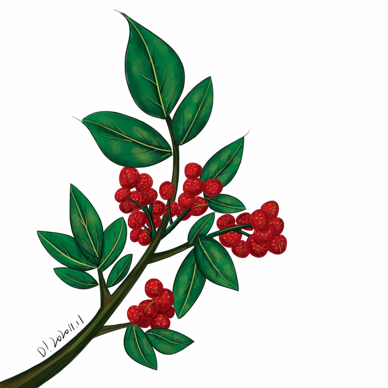 花椒素材~|插画|商业插画|黄瓜土豆丝_原创作品-站酷zcool