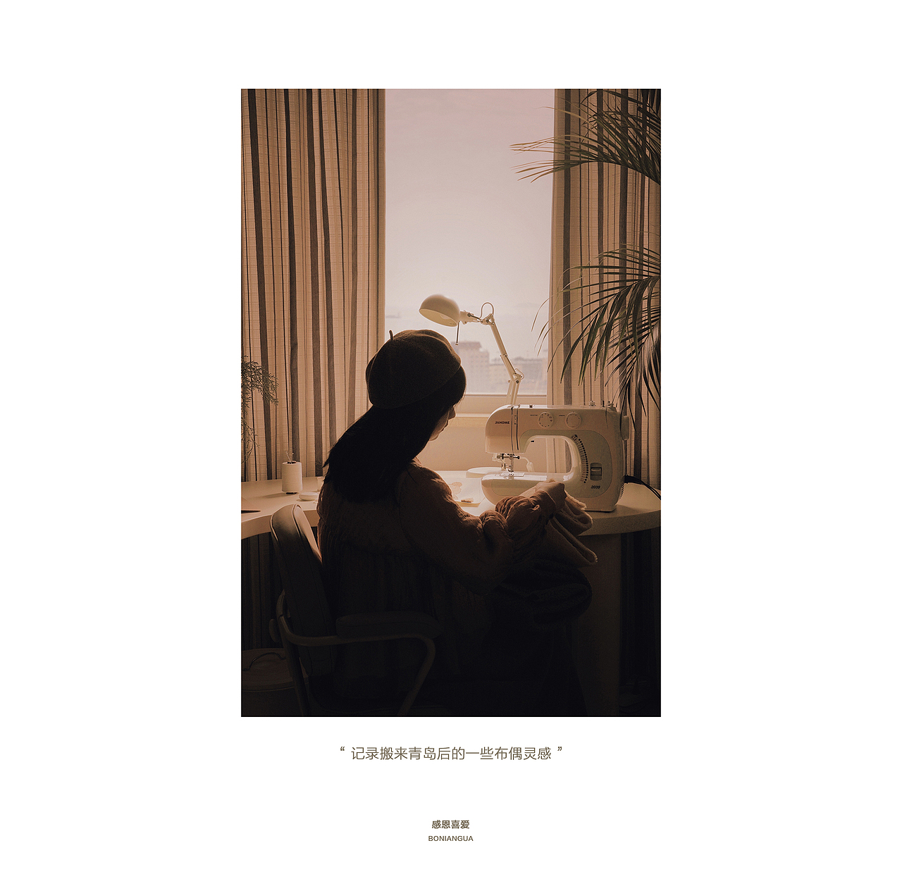 亲爱的布偶 / 青岛