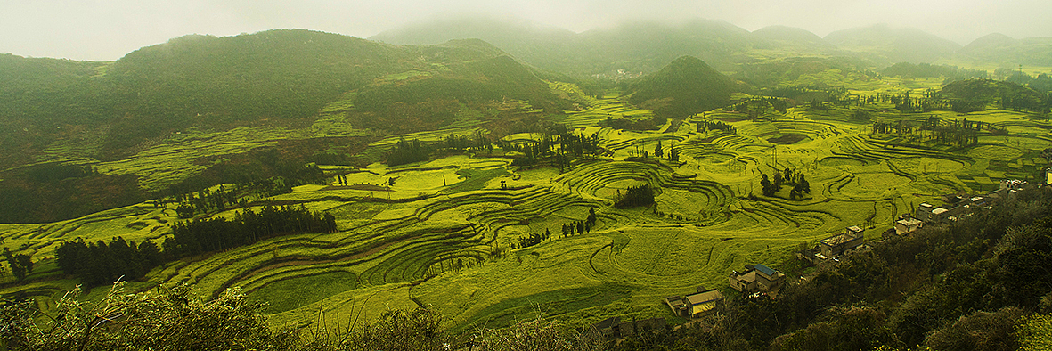 云南-罗平油菜花（图ZMTQxMzE1MTY=） - 风光摄影 - 站酷设计师RyanShao原创素材 - 站酷ZCOOL