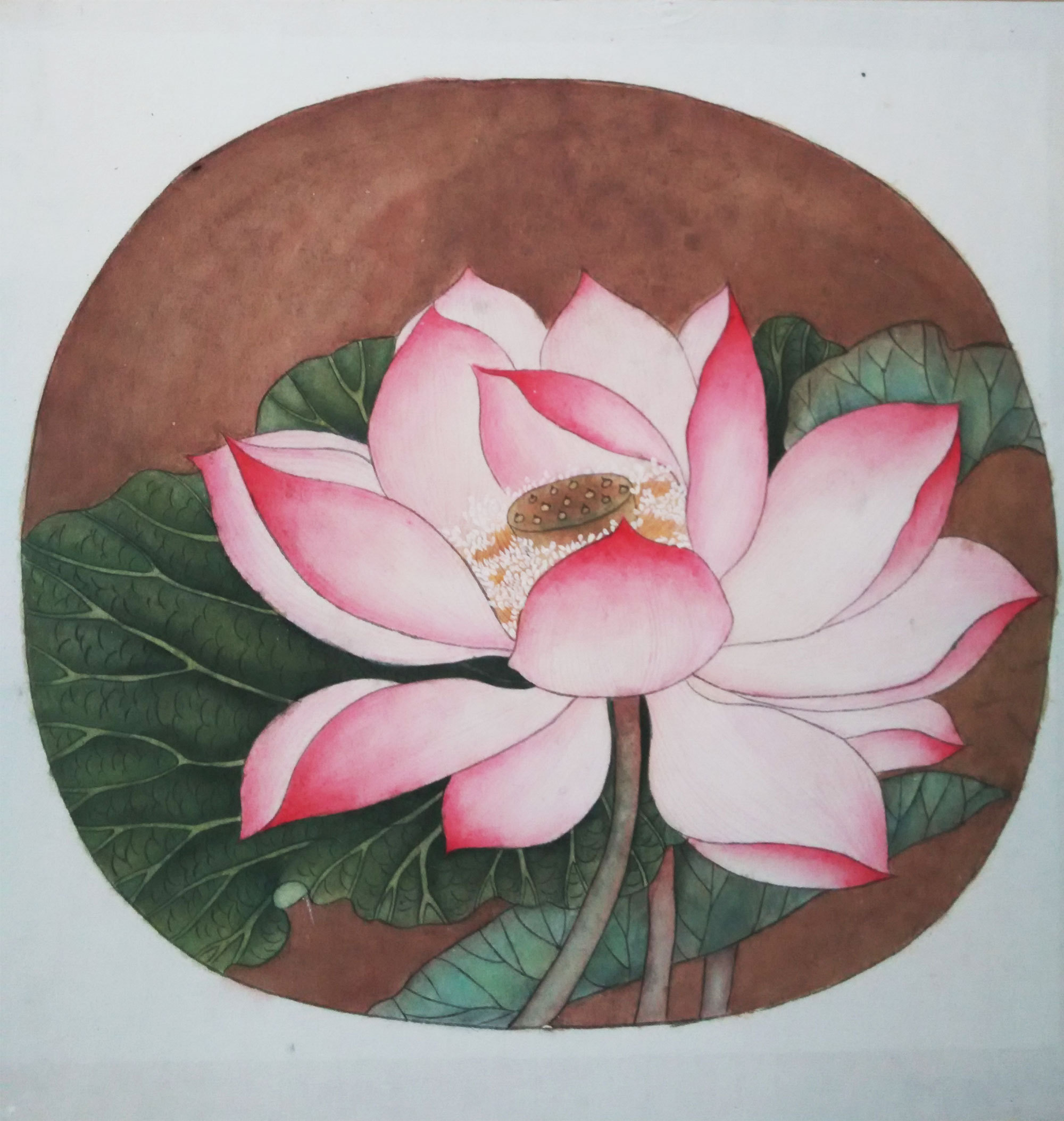 出水芙蓉
