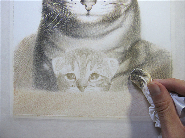 纸上彩铅--《猫爸与猫仔》纸张测试 随录