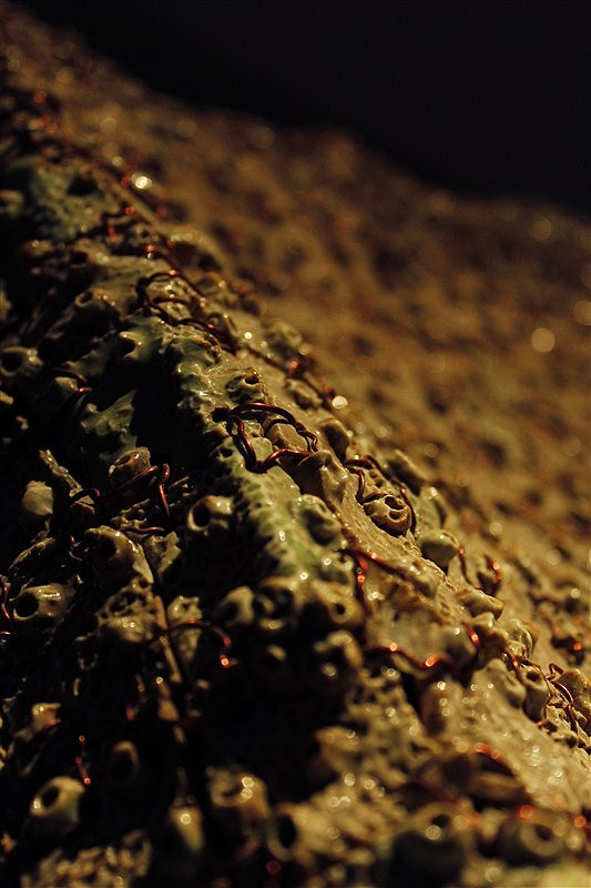 廊桥陈硕雕塑展览