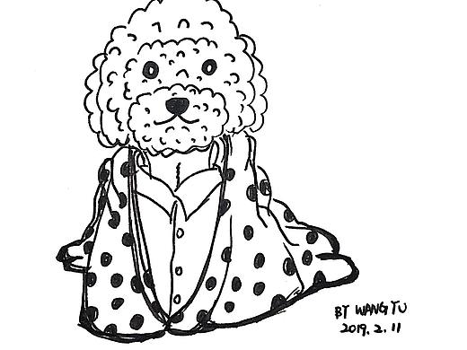 黑豆子住院日记（个人主页-ZNDY0NTg5MzY=） - 创作习作 - 站酷设计师NancyChina原创素材 - 站酷ZCOOL