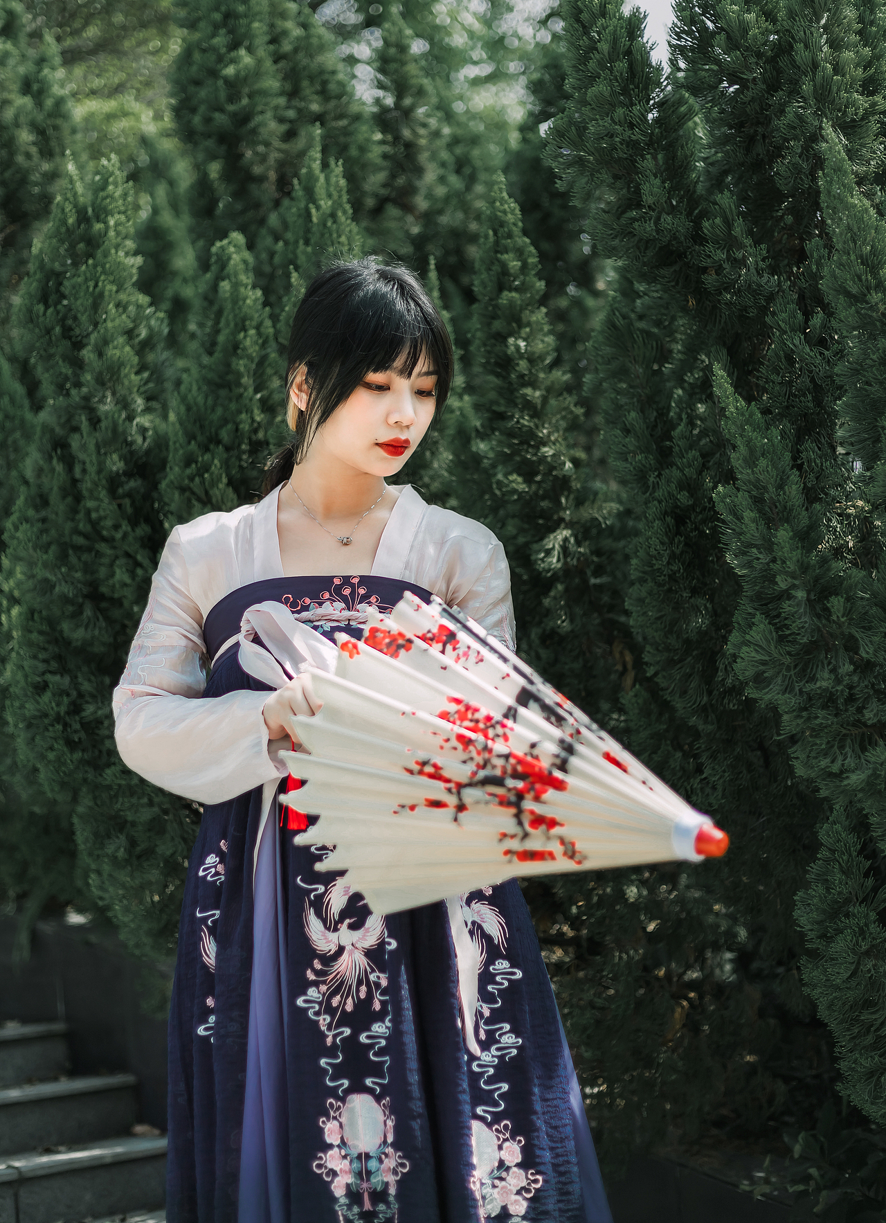 在等风,也在等你