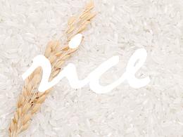 食摄·平面设计风格