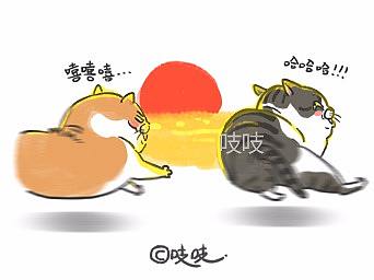猫咪画像合集2