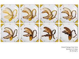 藝術(shù)攝影·8天｜11種食物在8天里的變化