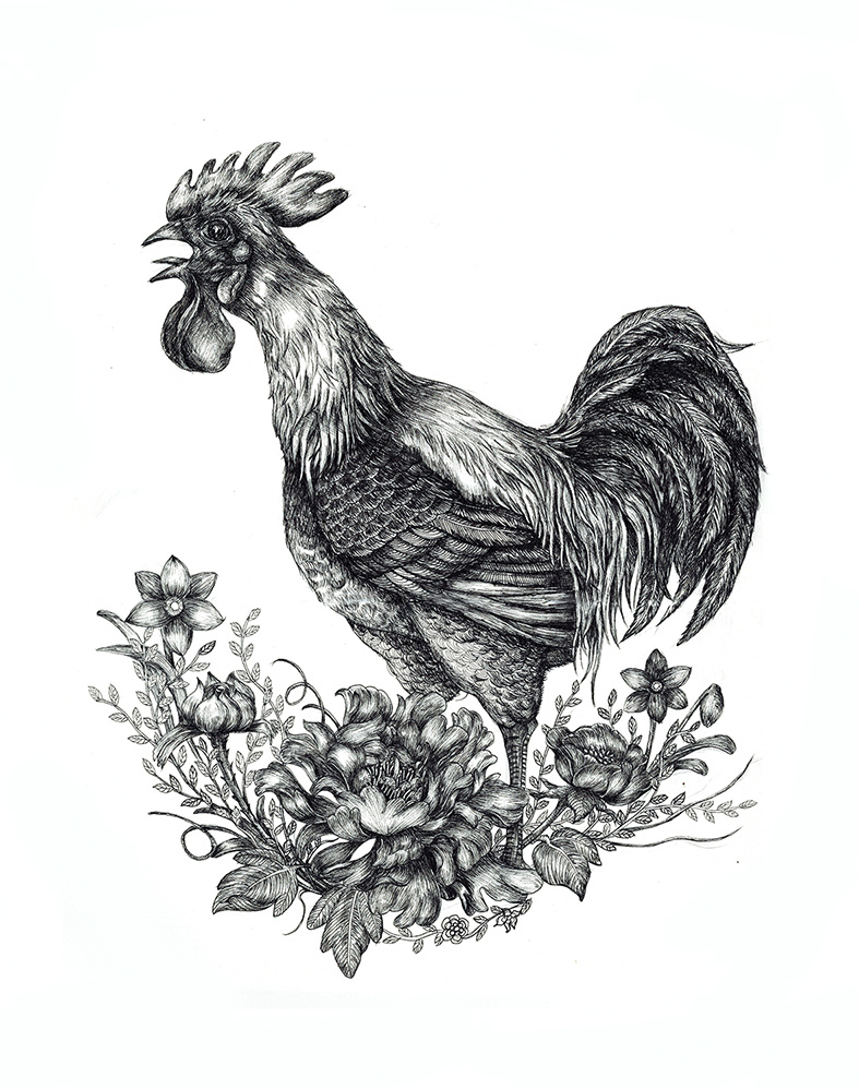 2017把握鸡会针管笔手绘