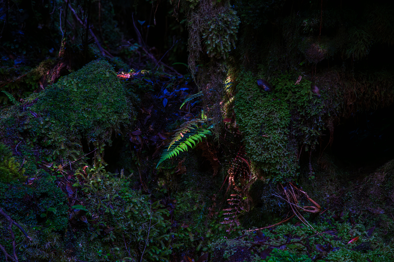 新西兰南北岛穿越之旅（图ZMzUzNzQwNDg0） - 风光摄影 - 站酷设计师暗影嗜血原创素材 - 站酷ZCOOL