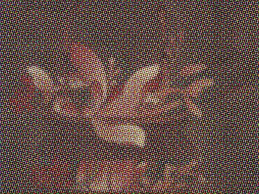 花篮（个人主页-ZNDcwNDA4NTY=） - 绘画 - 站酷设计师加密艺术原创素材 - 站酷ZCOOL