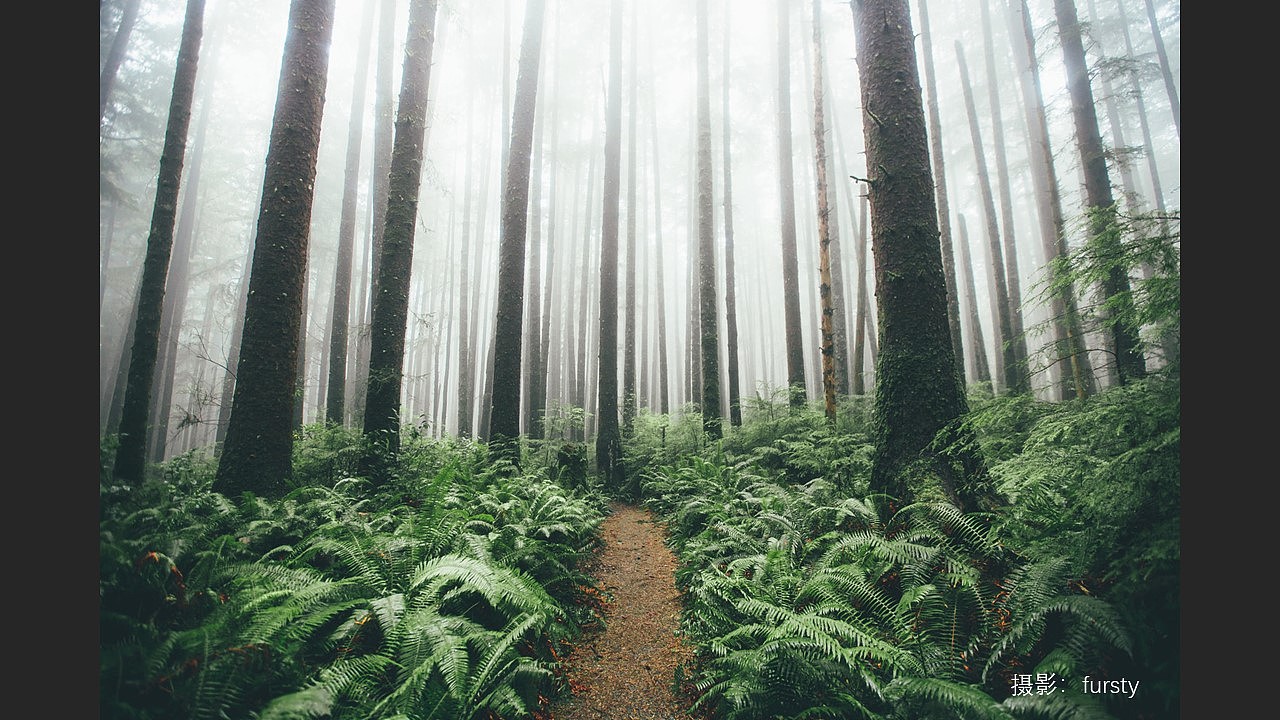 从Ins热门摄影作品中总结的3个后期调色思路（图ZMjExNDE0NTgw） - 风光摄影 - 站酷设计师thomas看看世界原创素材 - 站酷ZCOOL