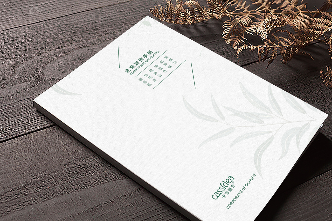 宣传册（图ZMjEyNDI5MDYw） - 品牌 - 站酷设计师杨扎扎原创素材 - 站酷ZCOOL