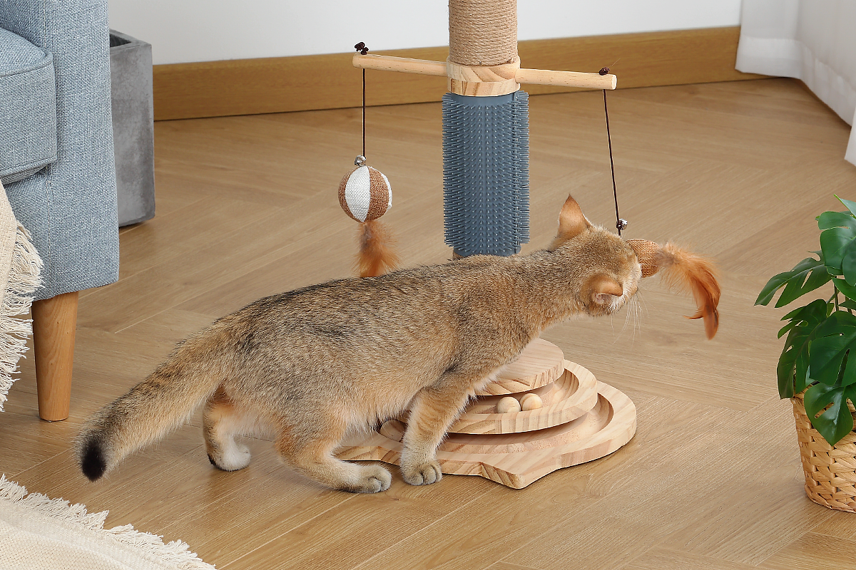猫猫喜欢玩的玩具（图ZMjc3NTU4NTY0） - 生活用品 - 站酷设计师无声月影原创素材 - 站酷ZCOOL