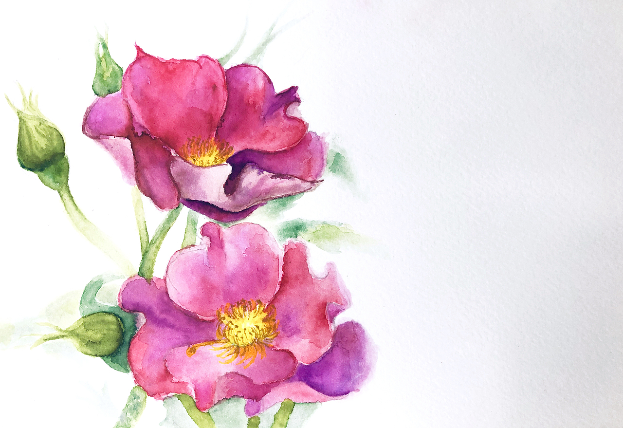 新年小红花（图ZMTQyMDg1MDM2） - 创作习作 - 站酷设计师言不甩原创素材 - 站酷ZCOOL