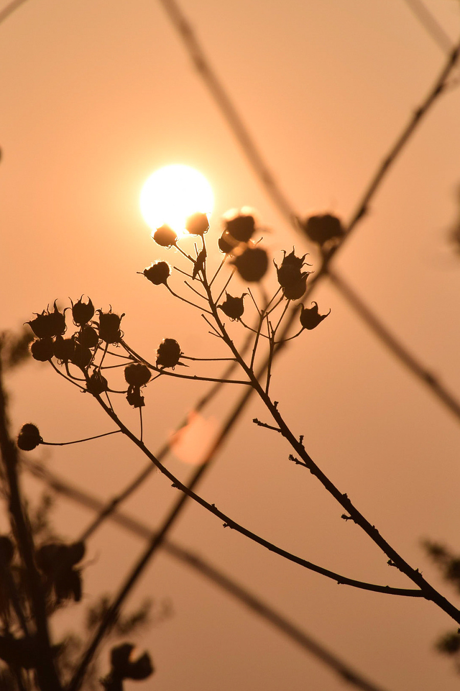 逆光-生活|静物|摄影|journey闪 - 原创设计作品 - 站酷 (zcool)